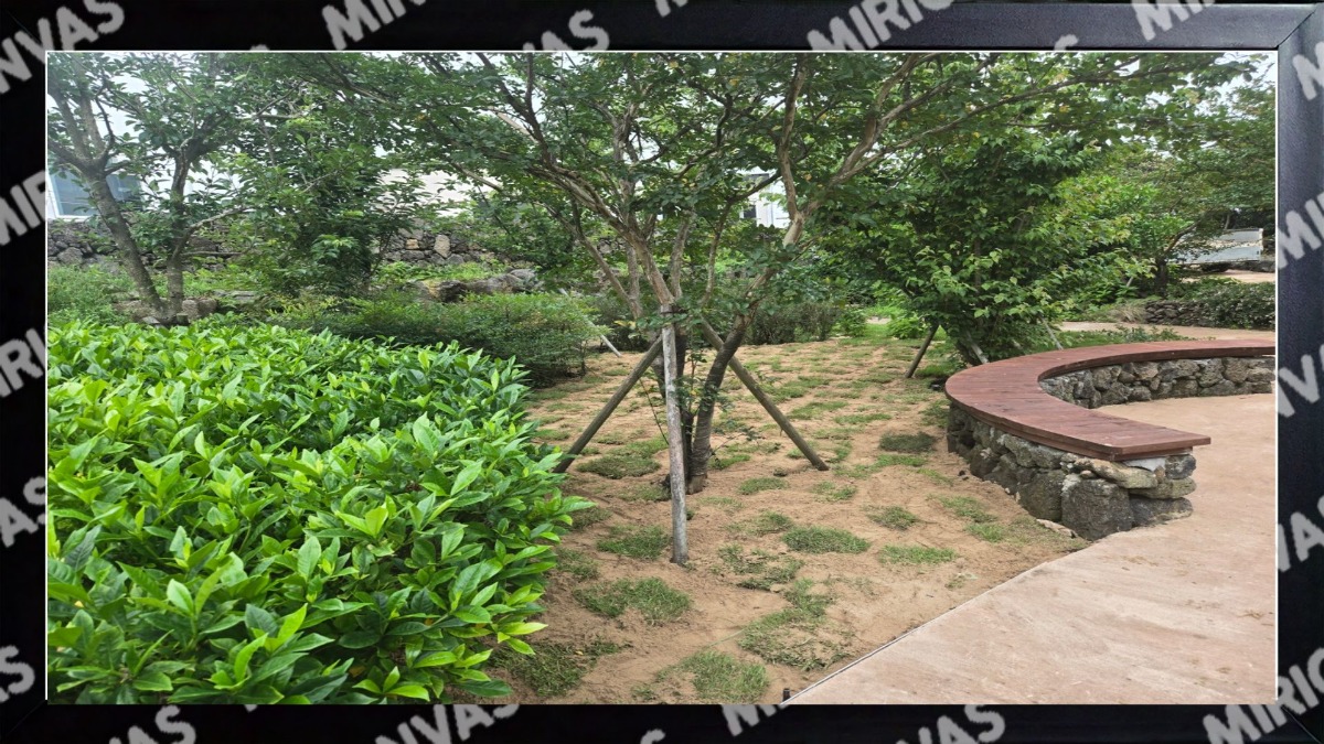 제목을 입력해주세요. (6)